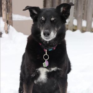 Meet your Posher, Britt